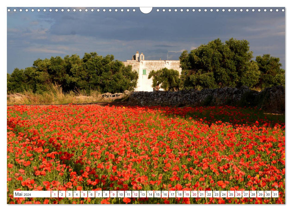 Apulia - A journey to Italy's boot heel (CALVENDO wall calendar 2024) 