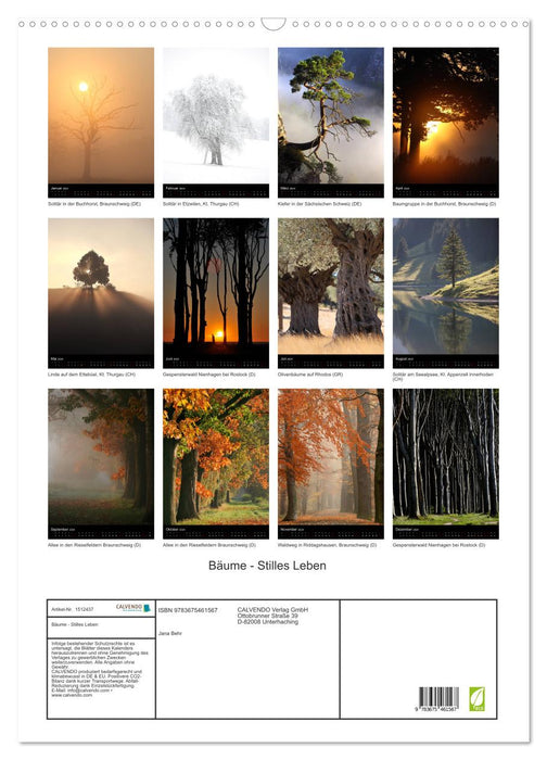 Bäume - Stilles Leben (CALVENDO Wandkalender 2024)