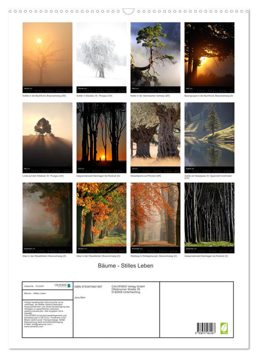 Trees - Still Life (CALVENDO Wall Calendar 2024) 