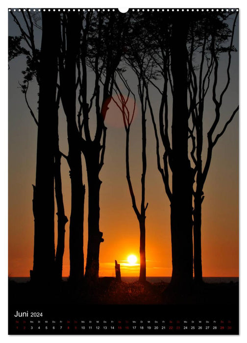Trees - Still Life (CALVENDO Wall Calendar 2024) 