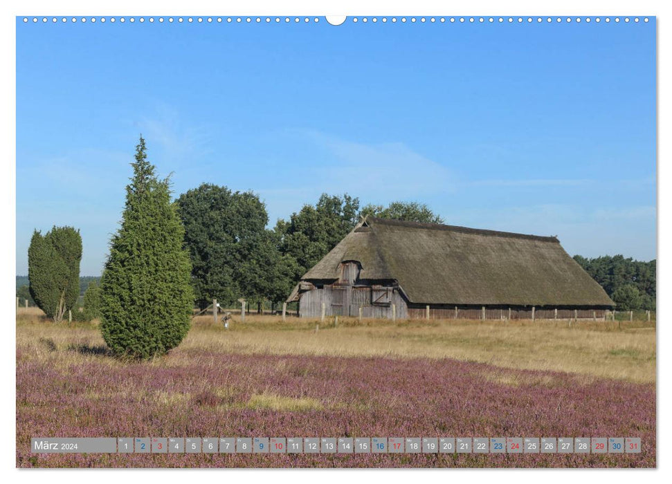 Lüneburg Heath - Fascinatingly beautiful (CALVENDO wall calendar 2024) 