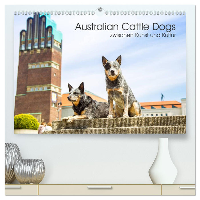 Australian Cattle Dogs between art and culture (CALVENDO Premium Wall Calendar 2024) 