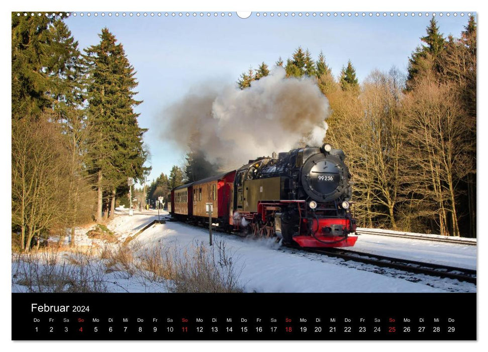 Under steam in Saxony Anhalt 2.0 (CALVENDO Premium Wall Calendar 2024) 