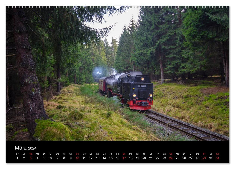 Under steam in Saxony Anhalt 2.0 (CALVENDO Premium Wall Calendar 2024) 