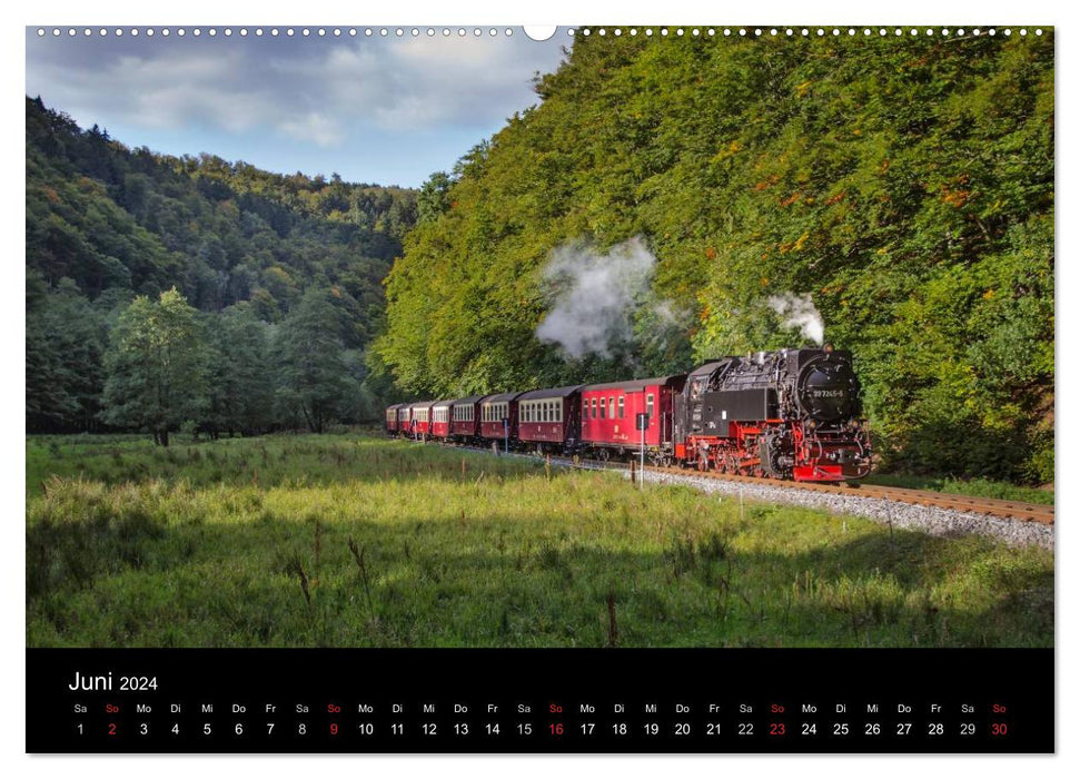 Under steam in Saxony Anhalt 2.0 (CALVENDO Premium Wall Calendar 2024) 