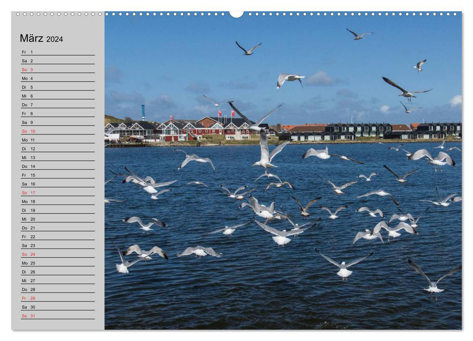 Denmark - Surroundings of Hvide Sande (CALVENDO Premium Wall Calendar 2024) 