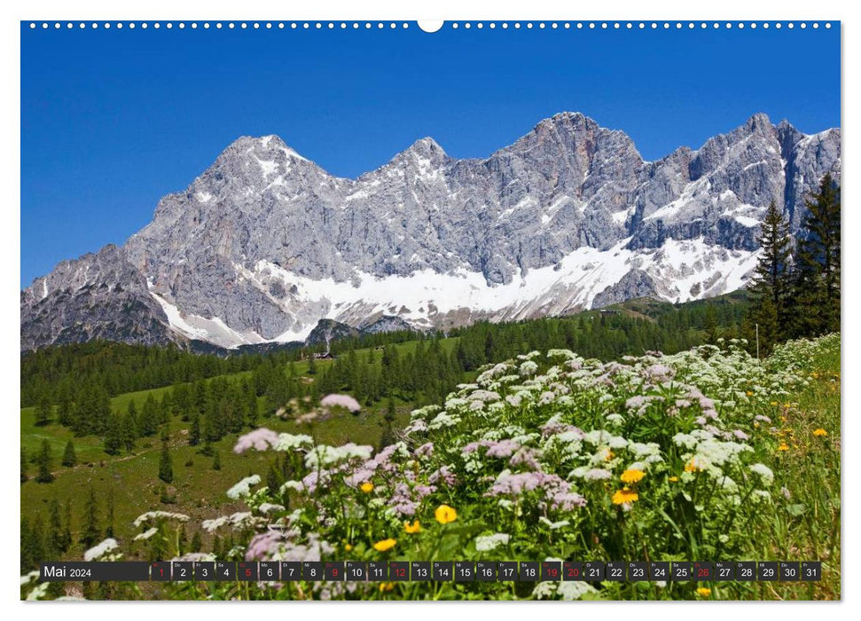 Der Hohe Dachstein (CALVENDO Premium Wandkalender 2024)