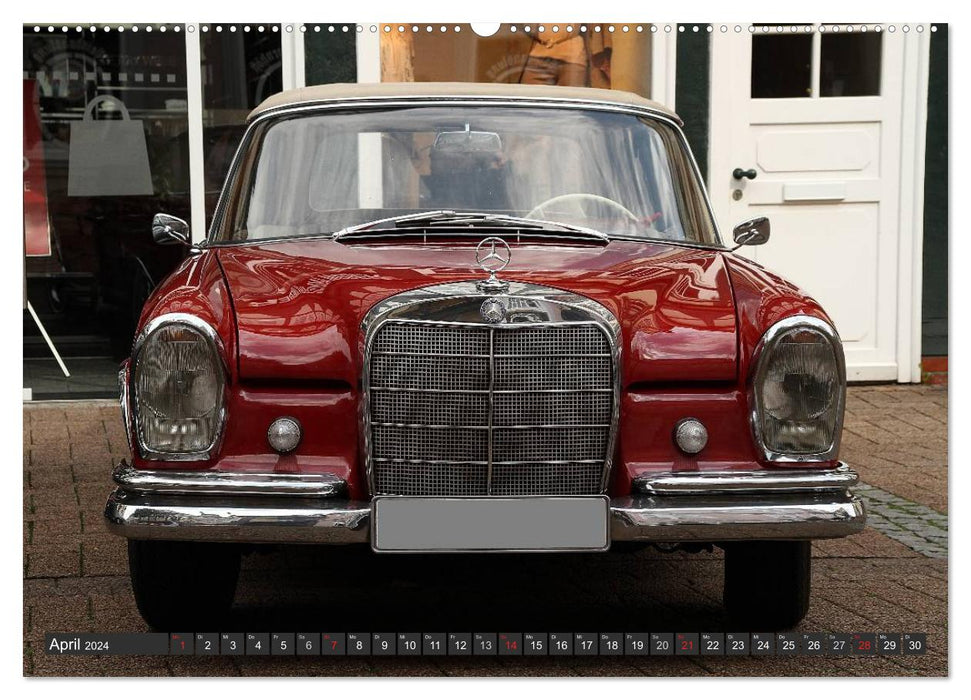 Mercedes Benz - Edle Schätzchen (CALVENDO Premium Wandkalender 2024)
