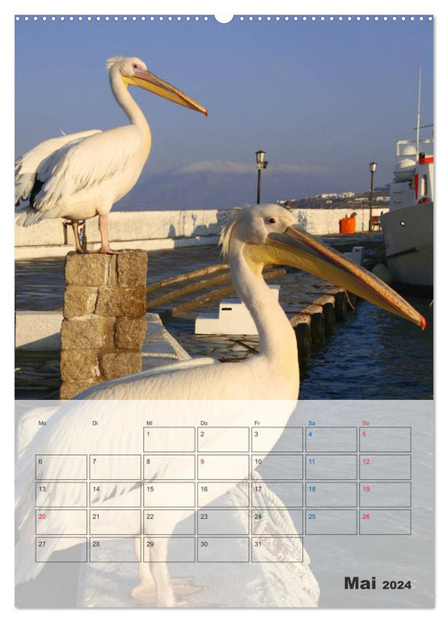 Griechisches Allerlei (CALVENDO Premium Wandkalender 2024)