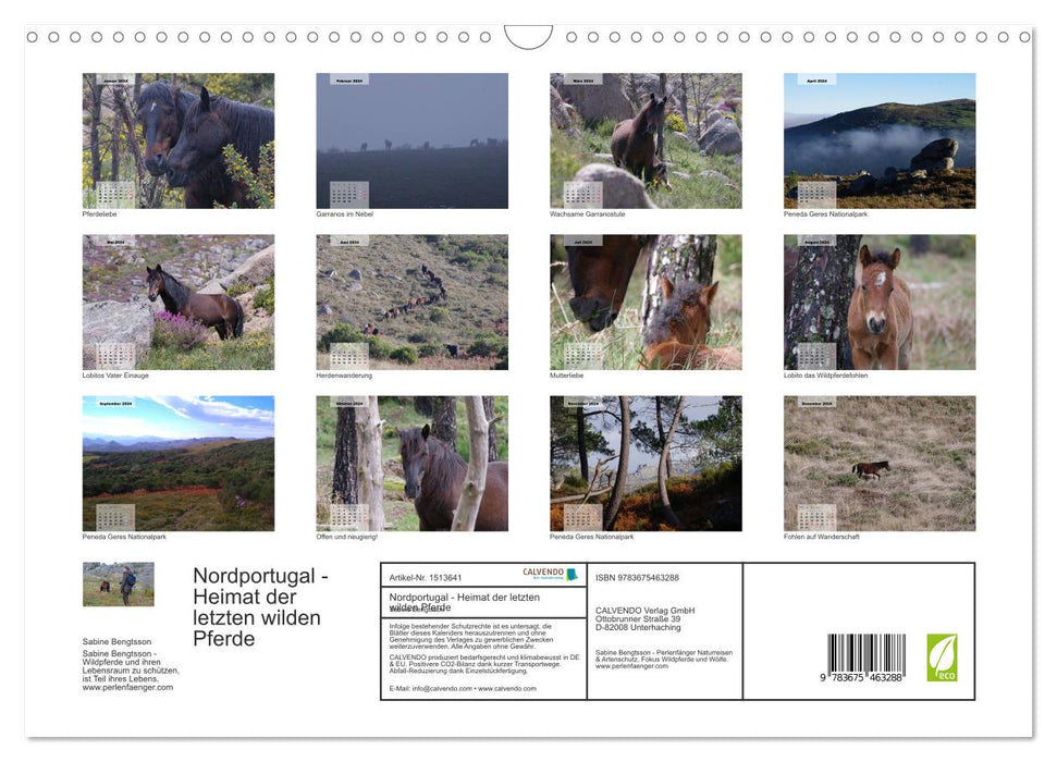 Nordportugal - Heimat der letzten wilden Pferde (CALVENDO Wandkalender 2024)