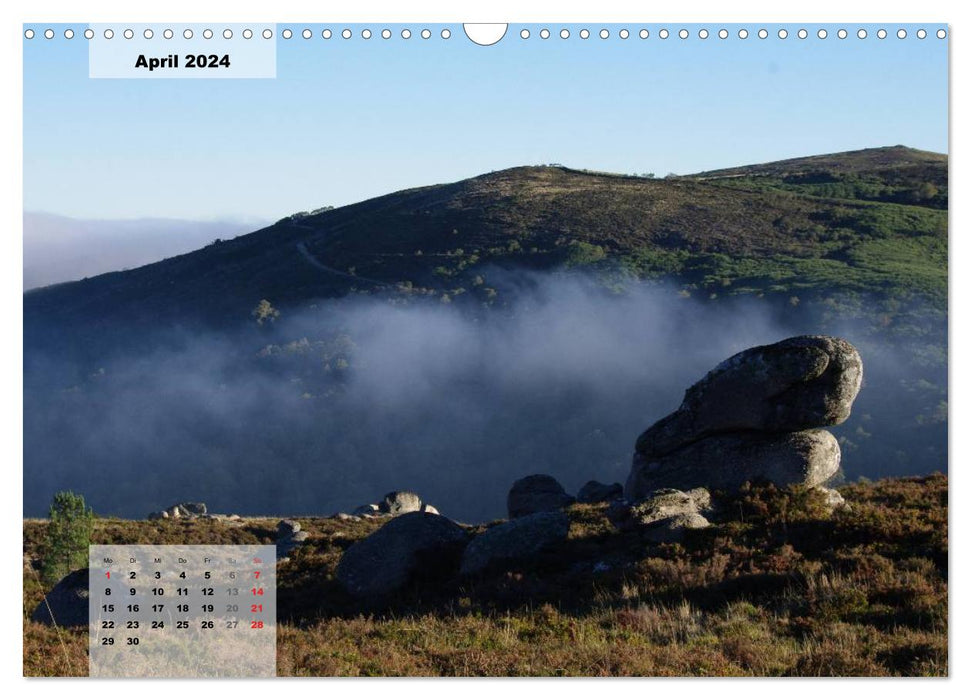 Nordportugal - Heimat der letzten wilden Pferde (CALVENDO Wandkalender 2024)