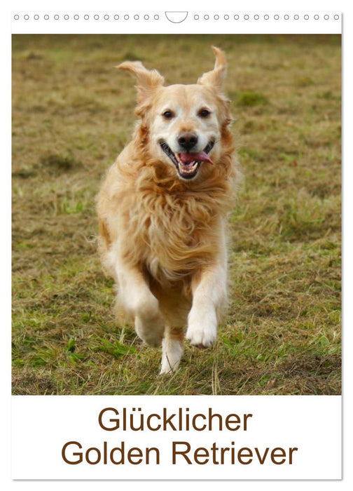 Glücklicher Golden Retriever (CALVENDO Wandkalender 2024)