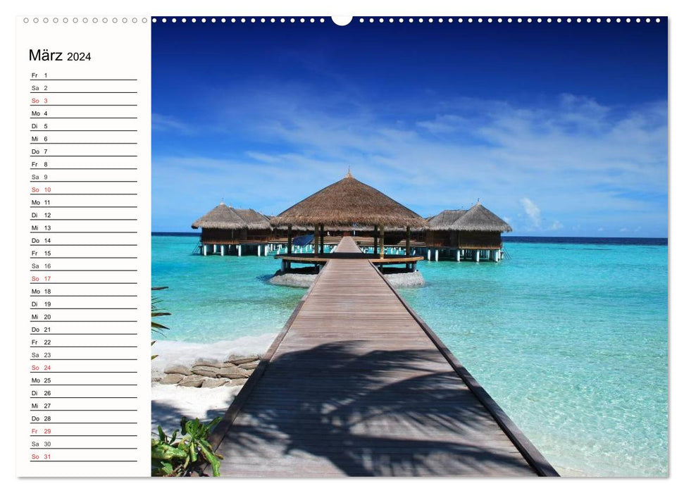 Paradiese. Karibik und Südsee über und unter Wasser (CALVENDO Wandkalender 2024)