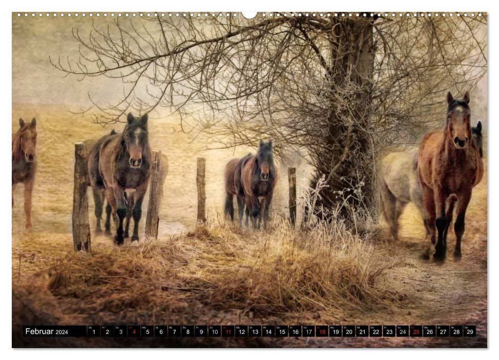 Western und Pferde (CALVENDO Wandkalender 2024)