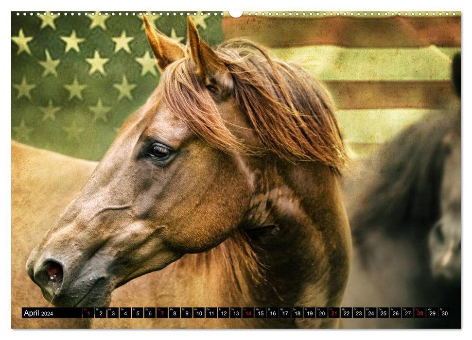 Western und Pferde (CALVENDO Wandkalender 2024)