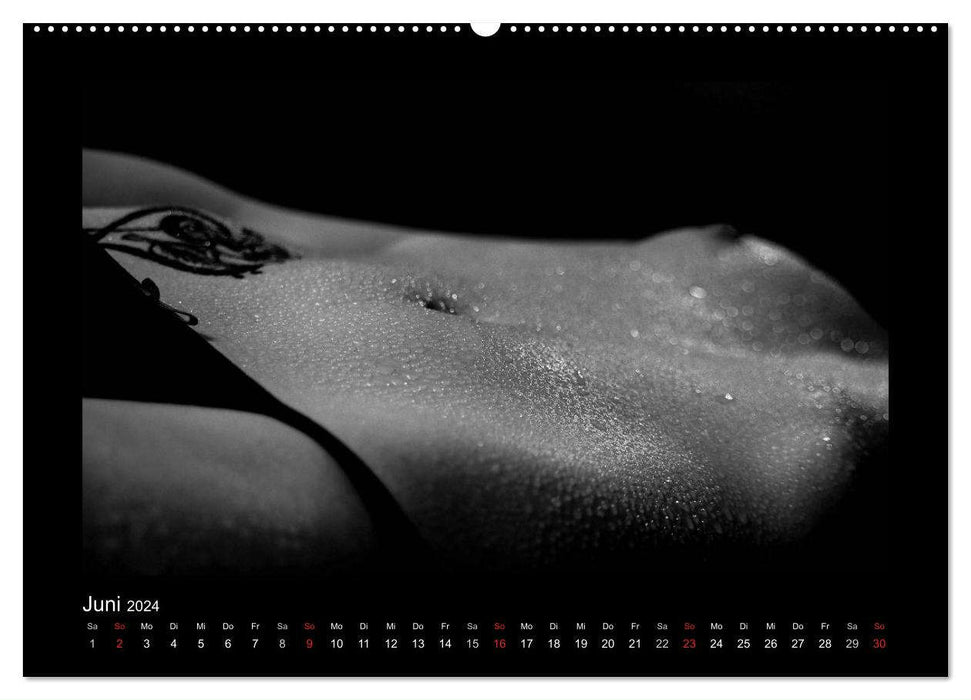 Erotische Körper (CALVENDO Premium Wandkalender 2024)