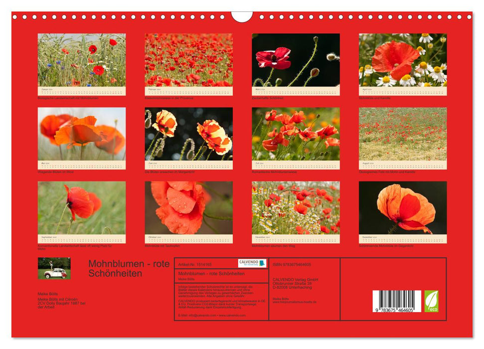 Mohnblumen - rote Schönheiten (CALVENDO Wandkalender 2024)