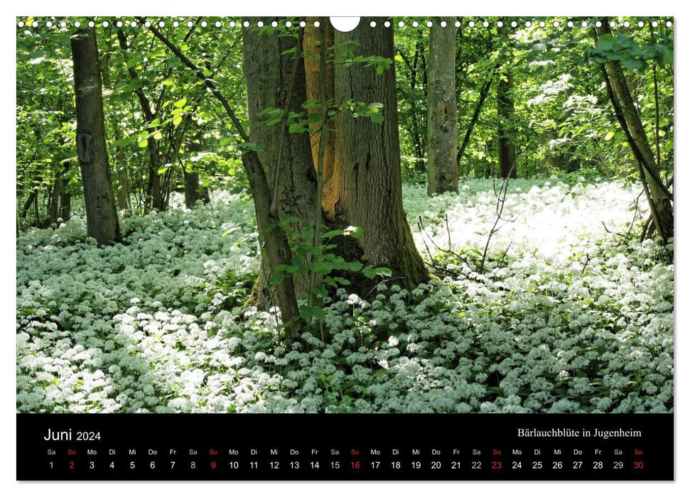 Himmel über Rheinhessen (CALVENDO Wandkalender 2024)