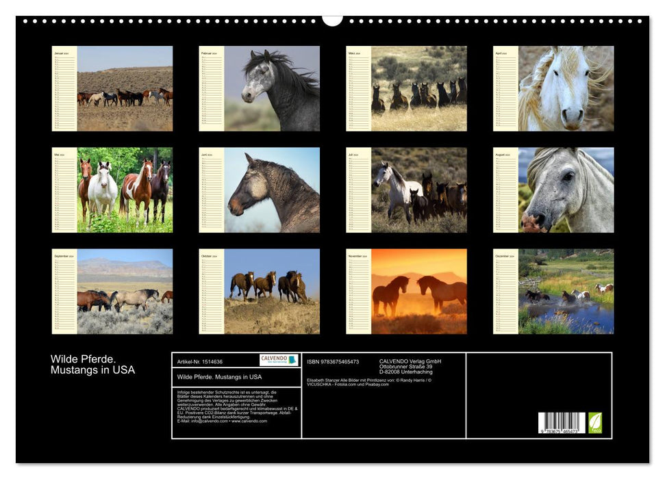 Wilde Pferde. Mustangs in USA (CALVENDO Wandkalender 2024)