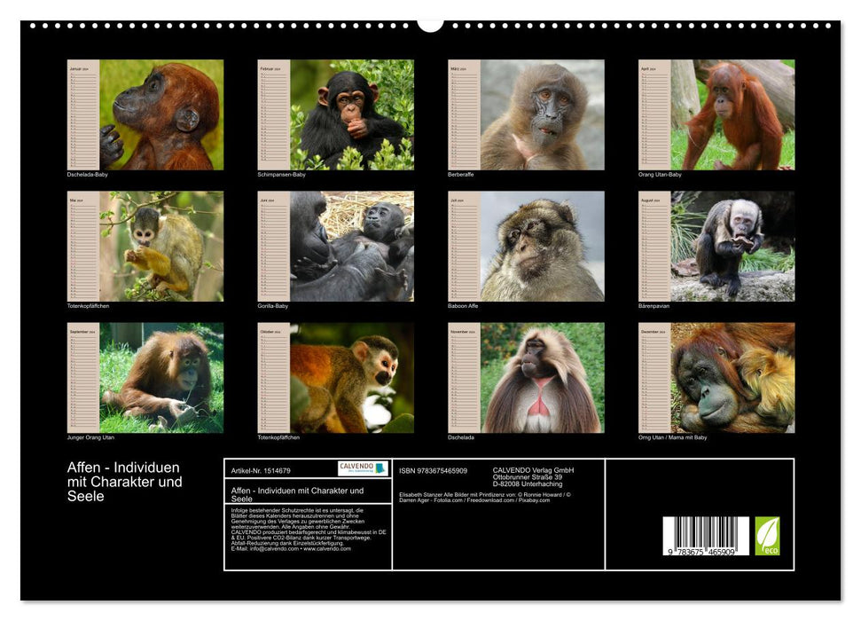 Singes - des individus avec du caractère et de l'âme (Calvendo Premium Wall Calendar 2024) 