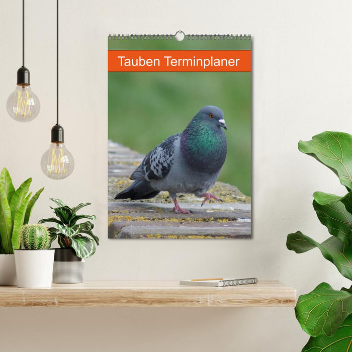 Planificateur de rendez-vous Pigeons (Calendrier mural CALVENDO 2024) 