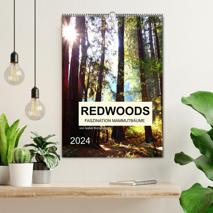 Redwoods - Fascination with sequoia trees (CALVENDO wall calendar 2024) 