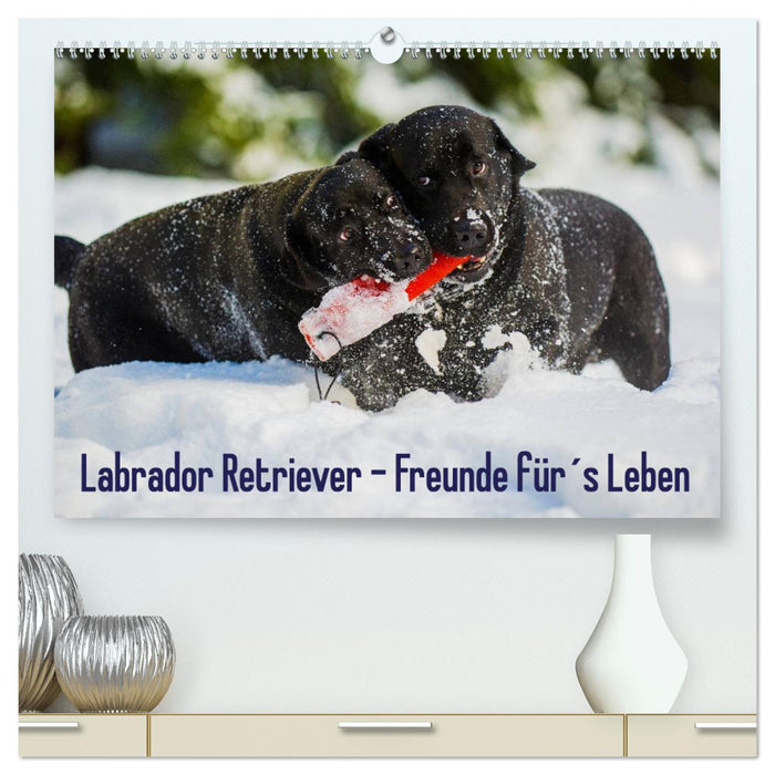 Labrador Retriever - amis pour la vie (Calvendo Premium Wall Calendar 2024) 