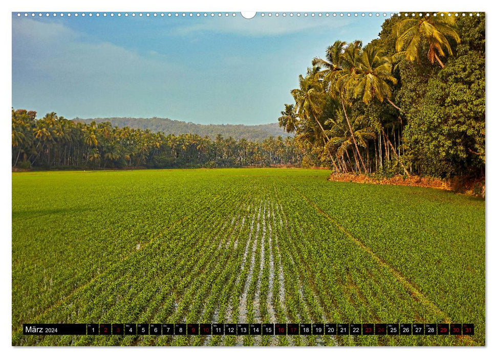 Goa India's dream coast (CALVENDO wall calendar 2024) 