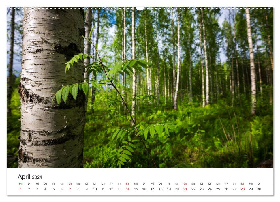 Landschaften Finnlands (CALVENDO Wandkalender 2024)