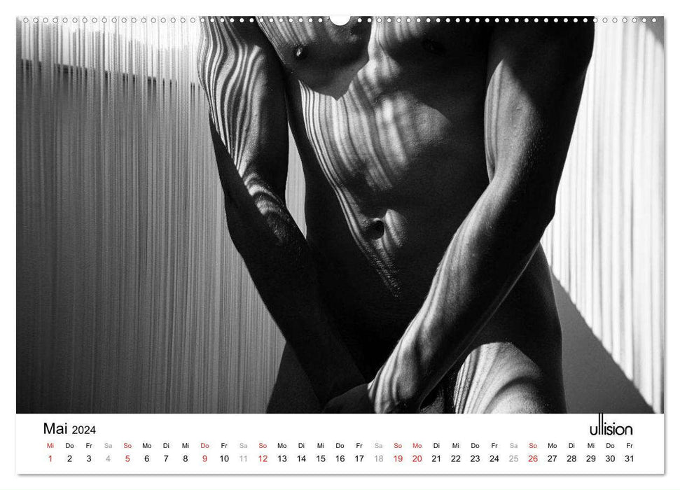 Männer AKT Art (CALVENDO Premium Wandkalender 2024)