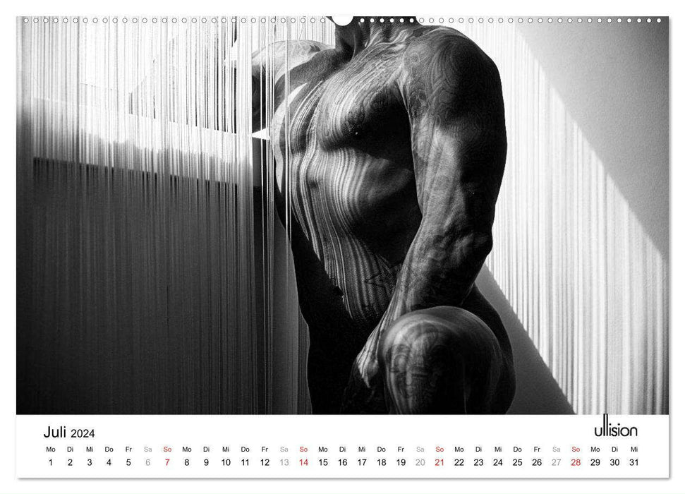 Männer AKT Art (CALVENDO Premium Wandkalender 2024)