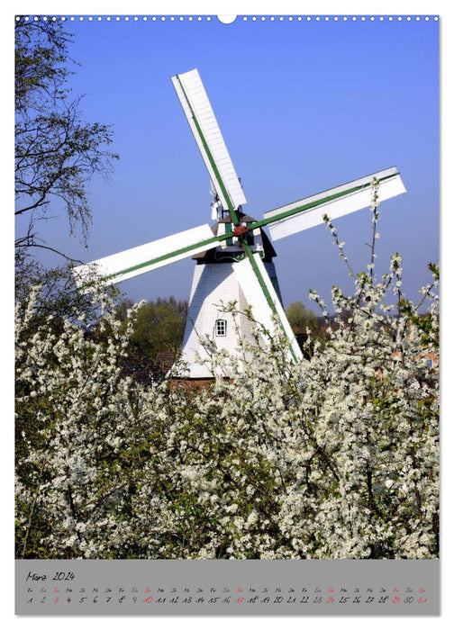 Windmühlen in Norddeutschland (CALVENDO Premium Wandkalender 2024)