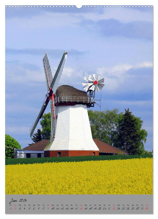 Windmühlen in Norddeutschland (CALVENDO Wandkalender 2024)
