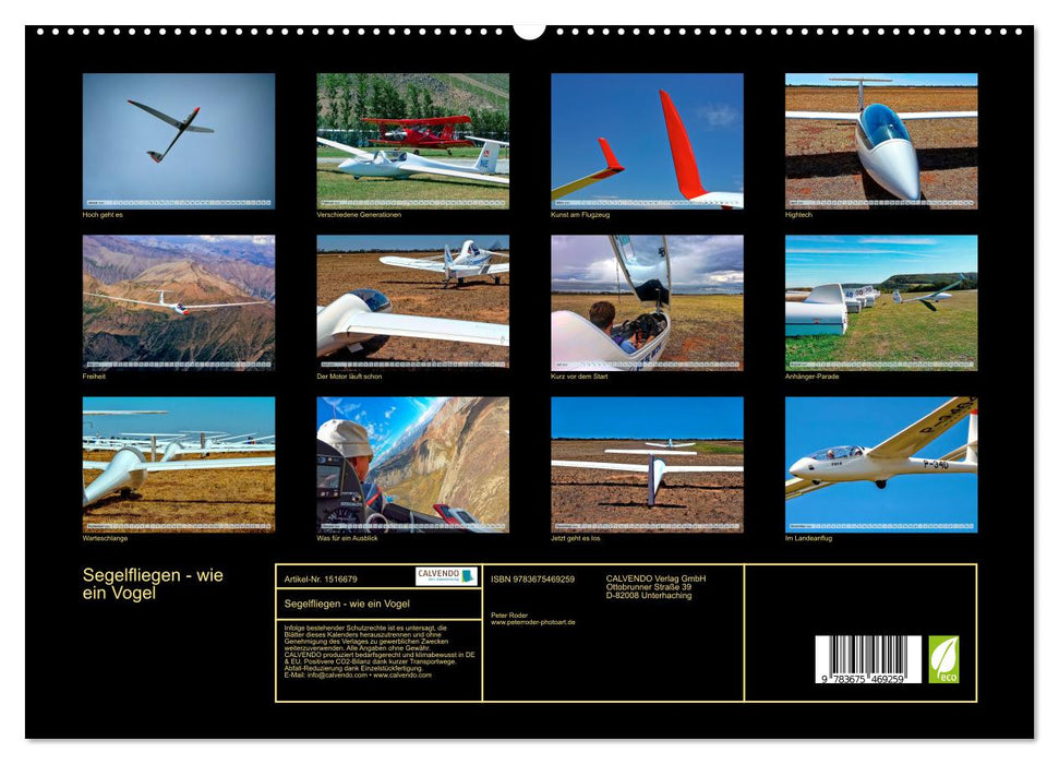 Segelfliegen - wie ein Vogel (CALVENDO Premium Wandkalender 2024)