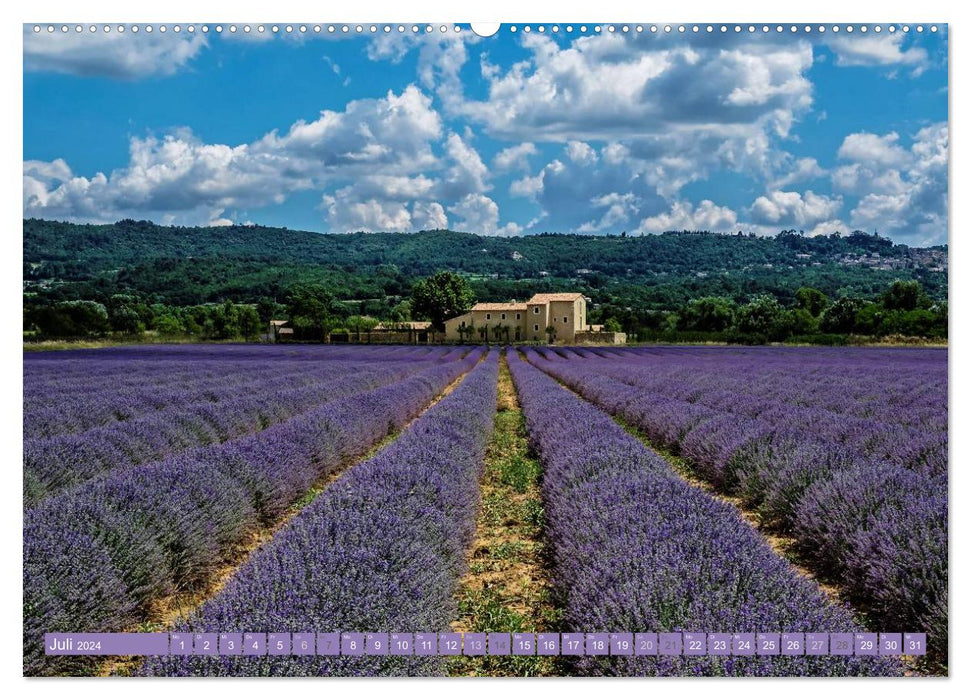 Ein Sommer in der Provence: Luberon und Vaucluse (CALVENDO Premium Wandkalender 2024)