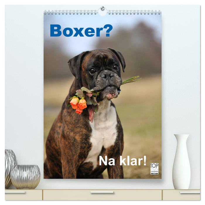 Boxer? Sure, of course! (CALVENDO Premium Wall Calendar 2024) 