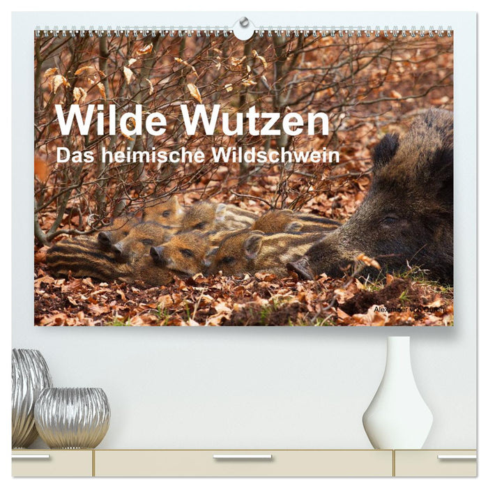 Wild pigs. The local wild boar (CALVENDO Premium Wall Calendar 2024) 