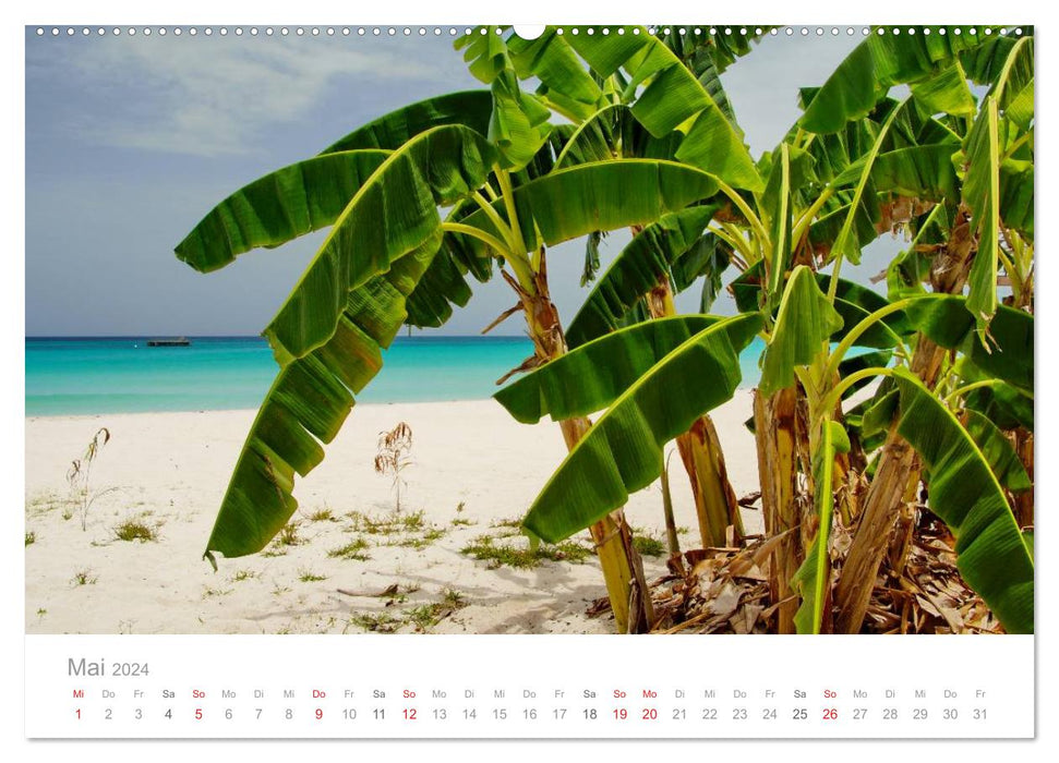 JAMAICA Reggae, Rastafari and paradisiacal nature. (CALVENDO Premium Wall Calendar 2024) 