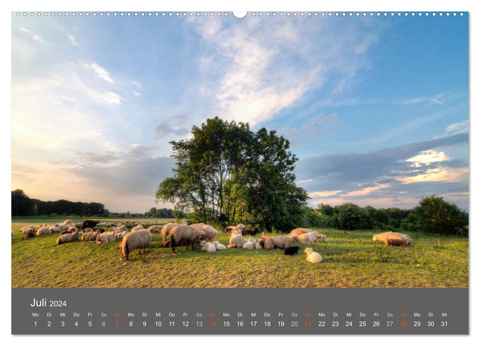 Leipzig - Parks und Landschaften (CALVENDO Premium Wandkalender 2024)