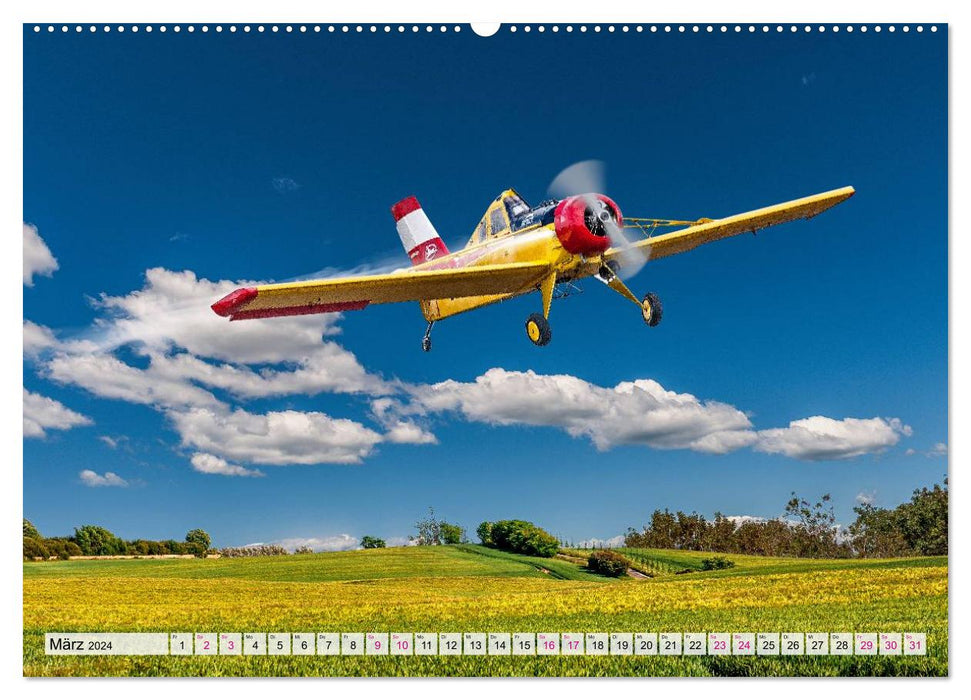 Model airplanes in ACTION (CALVENDO wall calendar 2024) 