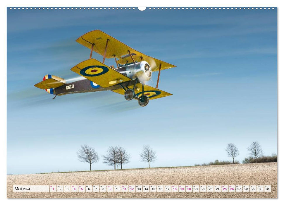Model airplanes in ACTION (CALVENDO wall calendar 2024) 