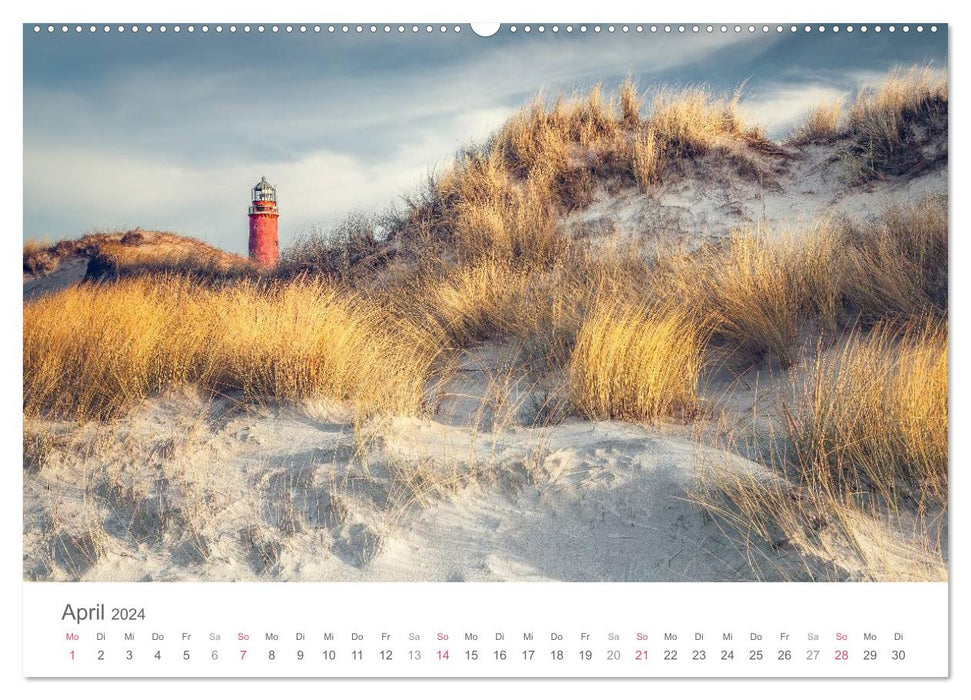 Darßer Weststrand (CALVENDO Wandkalender 2024)