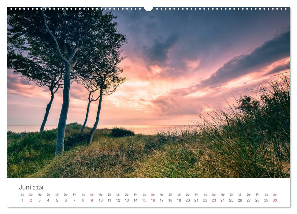 Darßer Weststrand (CALVENDO wall calendar 2024) 