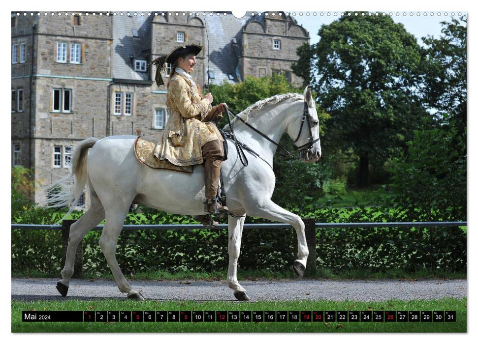 Chevaux de rêve - Ecole d'équitation princière de Bückeburg (calendrier mural CALVENDO 2024) 