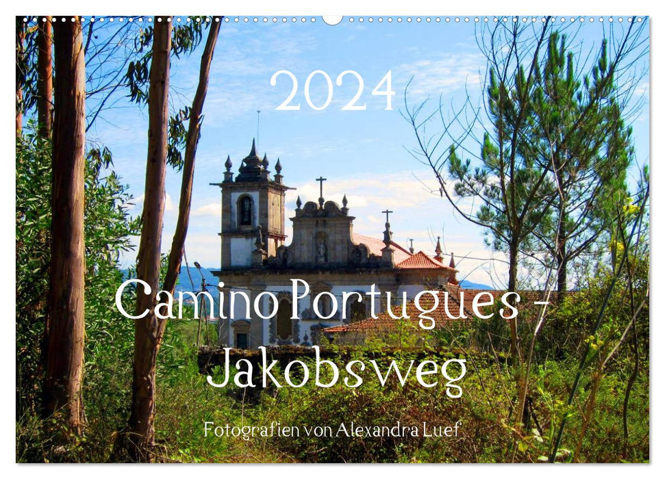 Camino Portugues - Chemin de Saint-Jacques (Calendrier mural CALVENDO 2024) 