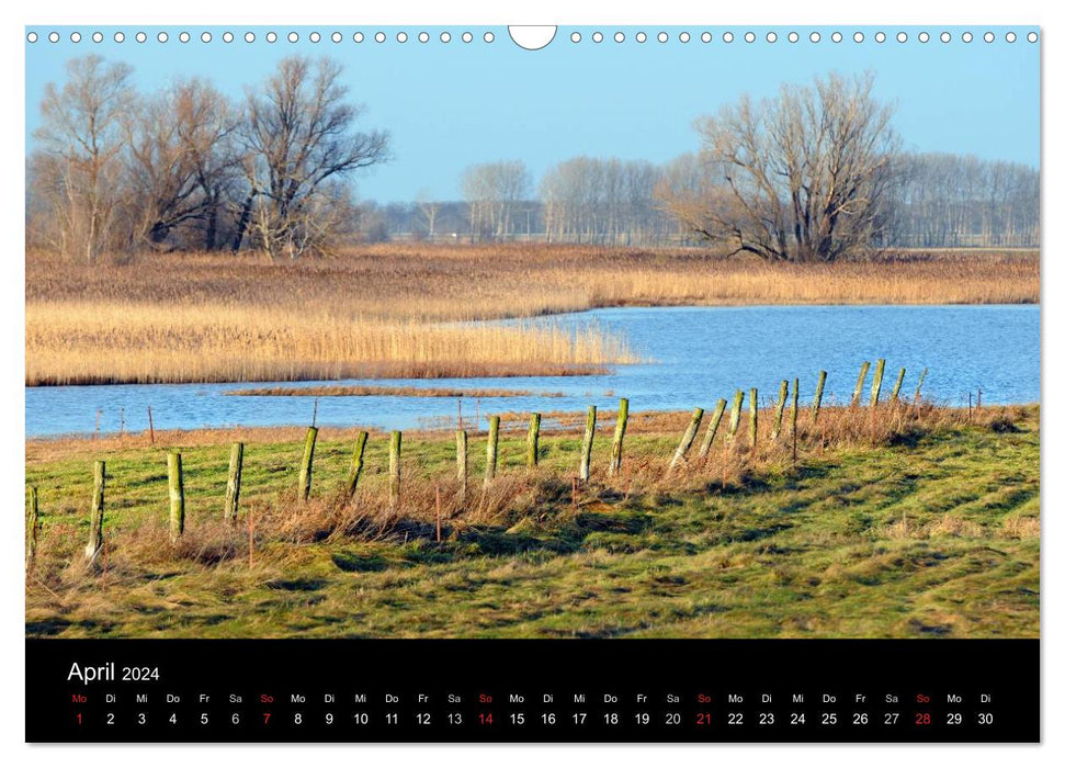 Quatre saisons à Havelland (calendrier mural CALVENDO 2024) 