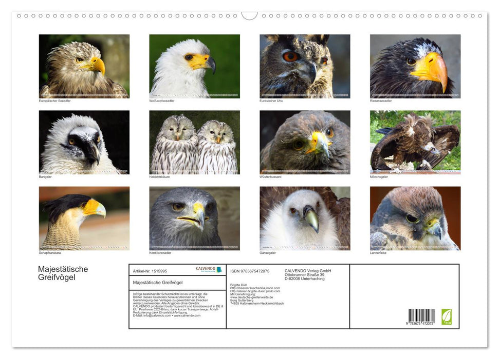 Majestätische Greifvögel (CALVENDO Wandkalender 2024)