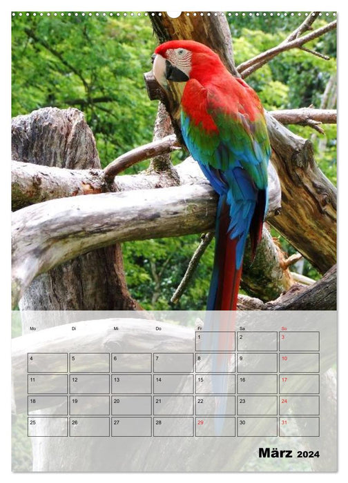 Aras. Der Papageien-Planer (CALVENDO Premium Wandkalender 2024)