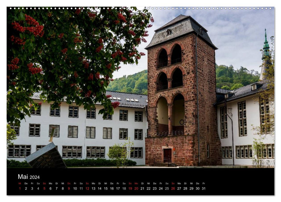 Heidelberg - Pictures of a city (CALVENDO wall calendar 2024) 