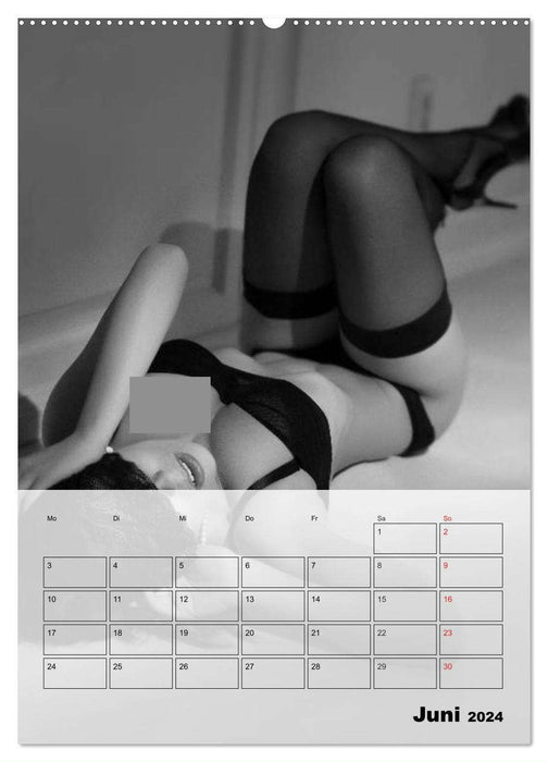 Erotisches Erlebnis. Sexy und heiß (CALVENDO Premium Wandkalender 2024)